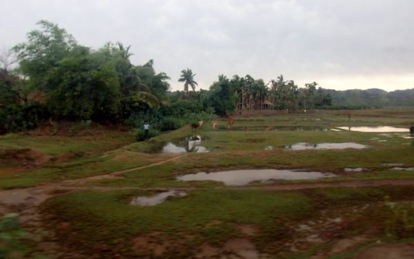 Landmine and UXO casualties rise in Rakhine State, Myanmar